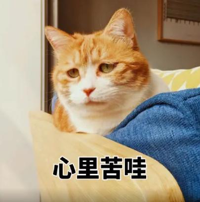DƬ